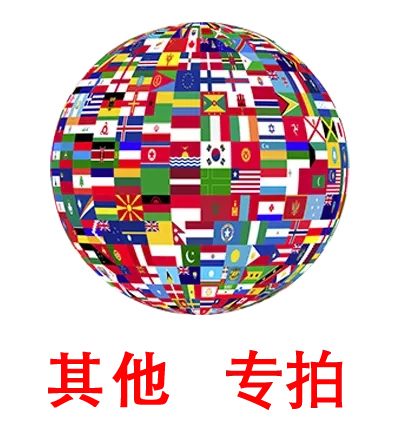 定制(批量)补单-Apple ID账号