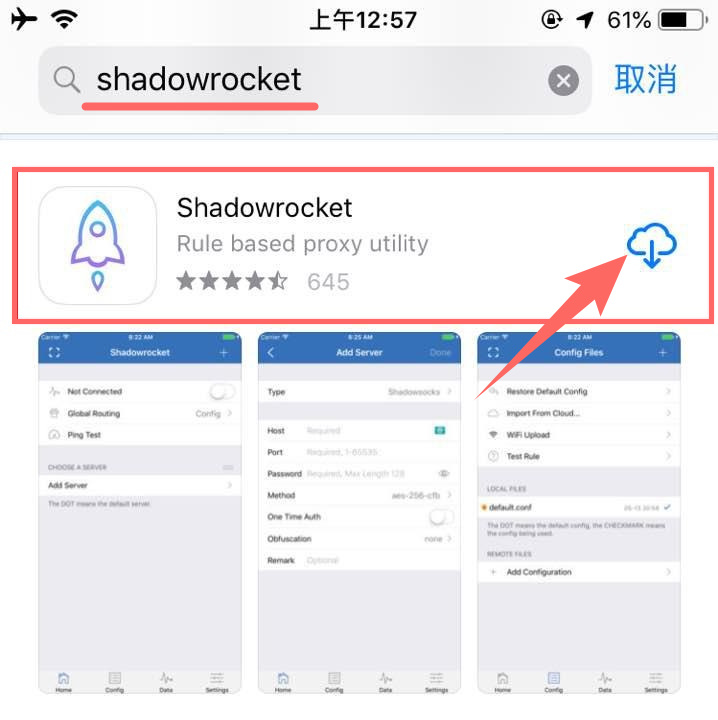 下载已购 Shadowrocket